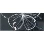 PAUL CERAMICHE LINEUP INS. DAISY BLACK A+B 20x50