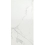 MARVEL CALACATTA EXTRA 30x60 MATT