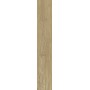 TREVERKLIFE HONEY 20X120 RETTIFICATO