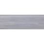 PAUL CERAMICHE STUDIO GRIGIO 25X75