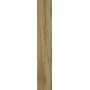 TREVERKLIFE HONEY 25X150 RETTIFICATO