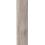 BARKWOOD ASH 30X120 rectified