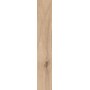SANT'AGOSTINO CERAMICHE BARKWOOD HONEY 20X120 RETT