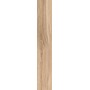 SANT'AGOSTINO CERAMICHE BARKWOOD HONEY 20X120 RETT
