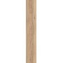 SANT'AGOSTINO CERAMICHE BARKWOOD HONEY 20X120 RETT