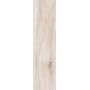 BARKWOOD WHITE 30X120 RETT