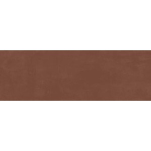 RAGNO CERAMICHE RESINA TERRACOTTA 40X120 RETTIFICATO