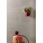 LEA CERAMICHE NEXTONE TAUPE 30X60 RETT LAPP (SEMILUCIDO)