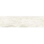 BLENDART WHITE 30X120 rectified