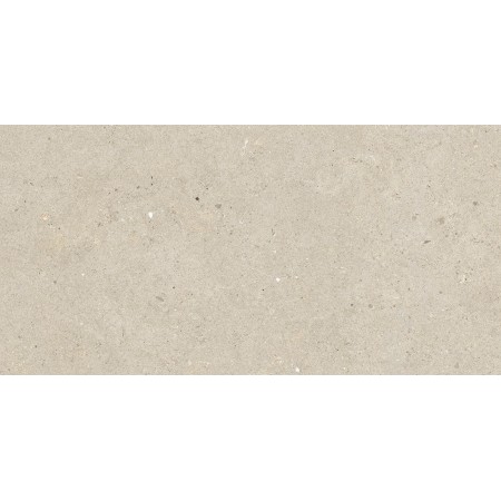 IMPRONTA ITALGRANITI SILVER GRAIN BEIGE NAT 60X120