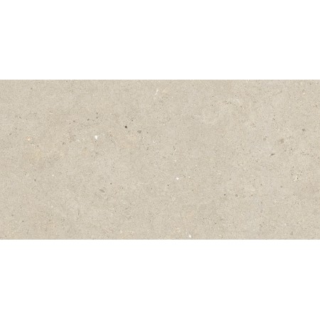 IMPRONTA ITALGRANITI SILVER GRAIN BEIGE NAT 60X120