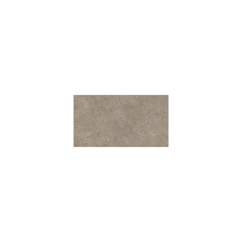 IMPRONTA ITALGRANITI SILVER GRAIN TAUPE NAT 60X120