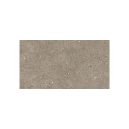 IMPRONTA ITALGRANITI SILVER GRAIN TAUPE NAT 60X120