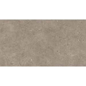 IMPRONTA ITALGRANITI SILVER GRAIN TAUPE NAT 30X60