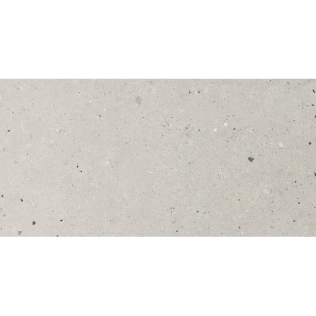 IMPRONTA ITALGRANITI SILVER GRAIN GREY NAT 30X60