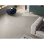 IMPRONTA ITALGRANITI SILVER GRAIN GREY NAT 60X60