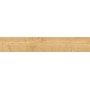 ATLAS CONCORDE HEARTWOOD MALT 20X120 RETT