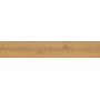 ATLAS CONCORDE HEARTWOOD MALT 20X120 RETT