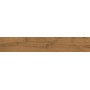 ATLAS CONCORDE HEARTWOOD BRANDY 20X120 RETT