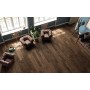 ATLAS CONCORDE HEARTWOOD MOKA 20X120 RETT