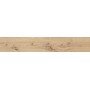 EXENCE VANILLA 20X120 rectified