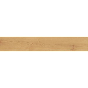 ATLAS CONCORDE EXENCE ALMOND 20X120 RETT