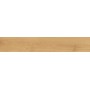 ATLAS CONCORDE EXENCE ALMOND 20X120 RETT