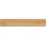 ATLAS CONCORDE EXENCE ALMOND 20X120 RETT