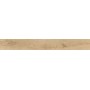 EXENCE VANILLA 18,5X150 RETT
