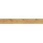 EXENCE ALMOND 18,5X150 RETT