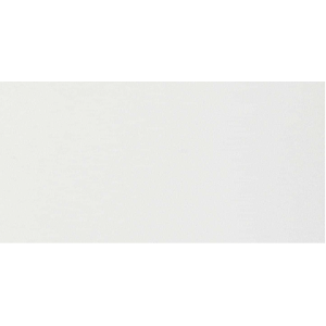 FLORIM - FLOOR GRES B&W WHITE NATURALE 30x60 Rectified