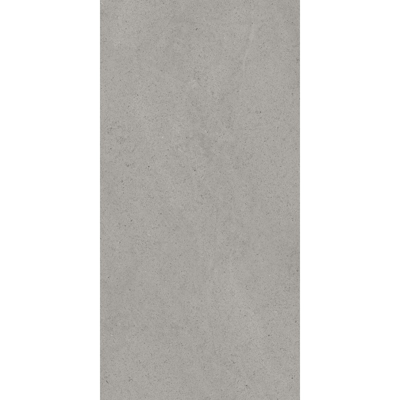 CASAMOOD Sensi Grey Dust 60x120 Ret Matt Naturale 9mm