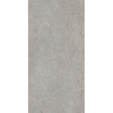 CASAMOOD Sensi Grey Fossil 60x120 Ret Matt Naturale 9mm