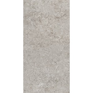 CASAMOOD Sensi Grey Fossil 40x80 Ret Matt Naturale 9mm