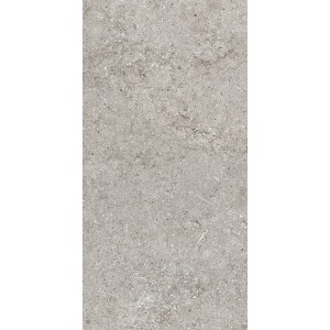 CASAMOOD Sensi Grey Fossil 40x80 Ret Matt Naturale 9mm