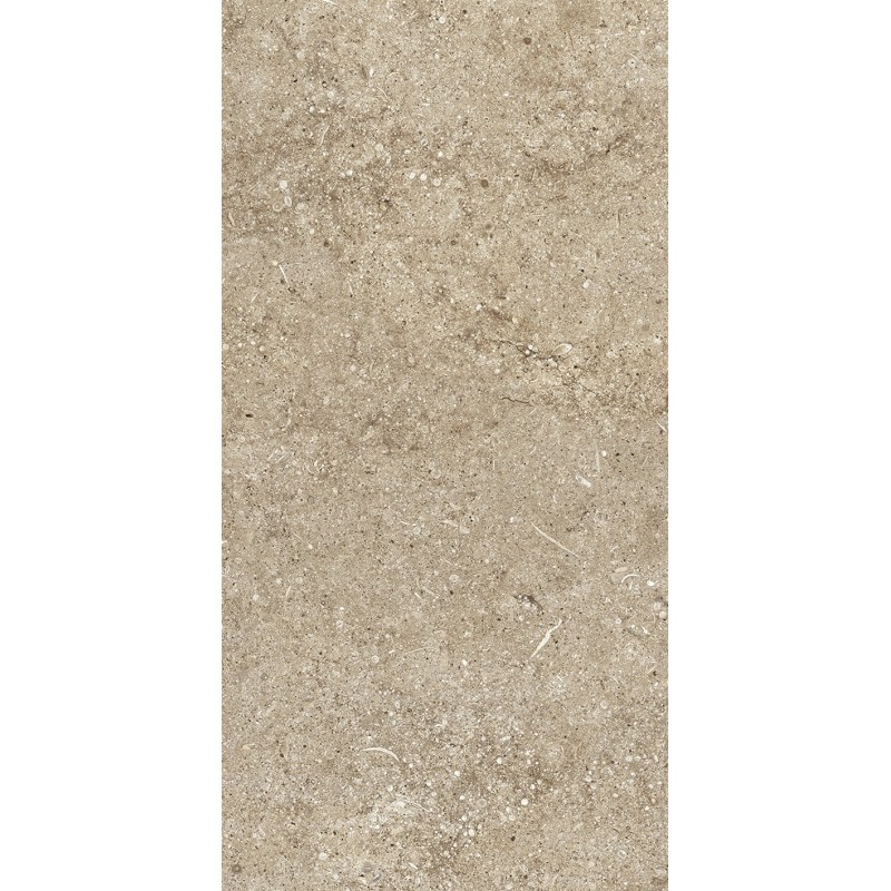 CASAMOOD Sensi Taupe Fossil 40x80 Ret Matt Naturale 9mm