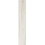 AXIS BIRCH 20X120 Rectified