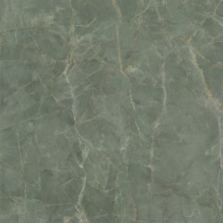 CAESAR ANIMA EVER SAGE GREEN LUCIDATO 120X120 RETTIFICATO