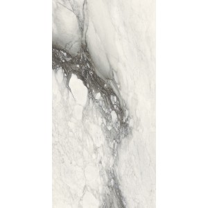 REX CERAMICHE ETOILE RENOIR GLOSSY 60X120 Rectified