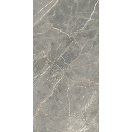 REX CERAMICHE ETOILE GRIS GLOSSY 60X120 RETTIFICATO