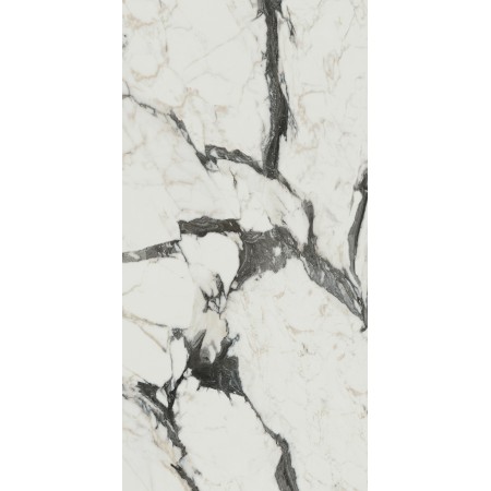 REX CERAMICHE LES BIJOUX CALACATTA ALTISSIMO BLANC GLOSSY 60X120 Rectified 9mm