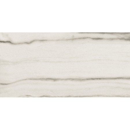 REX CERAMICHE PREXIOUS WHITE FANTASY MATTE 60X120 RETTIFICATO 9mm