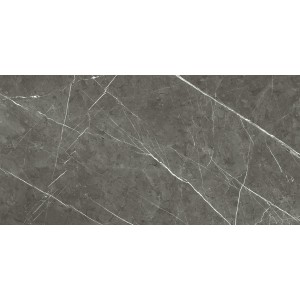 REX CERAMICHE PREXIOUS CHARMING AMBER MATTE 60X120 RECTIFIED 9mm