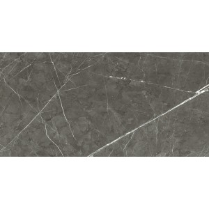 REX CERAMICHE PREXIOUS CHARMING AMBER MATTE 60X120 Rectified 6mm