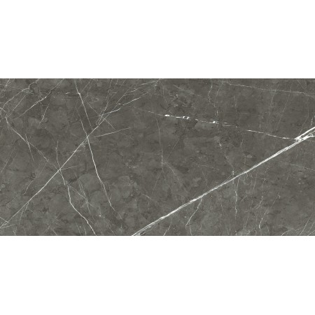 REX CERAMICHE PREXIOUS CHARMING AMBER MATTE 60X120 Rectified 6mm