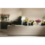 FAP CERAMICHE LUMINA STONE ROCK BEIGE MATT 30,5X91,5 RETTIFICATO