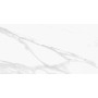 EMILCERAMICA TELE DI MARMO STATUARIO MICHELANGELO FULL LAPPATO 60X120 Rectified