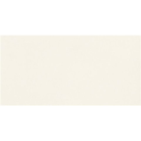CASALGRANDE PADANA Unicolore Bianco Assoluto 60x120 10mm