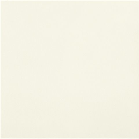 CASALGRANDE PADANA Unicolore Bianco Assoluto 60x60 10mm