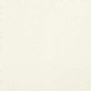 CASALGRANDE PADANA Unicolore Bianco Assoluto 60x60 10mm